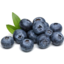 Photo of Blueberries Xlarge