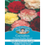 Photo of Carnation Choice Double Mixed