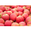 Photo of Apples - Pink Lady Apples