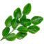 Photo of Lime Leaves 10g