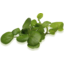 Photo of Watercress (Fresh Cut Herb) Ea