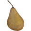 Photo of Pears Bosc