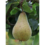 Photo of Pears - Williams