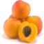 Photo of Apricots