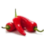 Photo of Chilli Red (each)