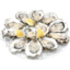 Photo of South Australian Oysters