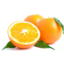 Photo of Oranges Seville Kgs
