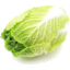 Photo of Wong Bok Ea (Chinese Cabbage)