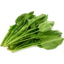 Photo of Spinach Japanese Ea