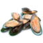 Photo of N.Z Half Shell Mussels 1kg