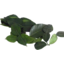 Photo of Lime Leaves Kaffir 10g