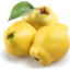Photo of Quince Pear Kg