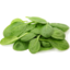 Photo of Spinach Leaves