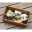 Photo of Katia's Cheese Tasting Box