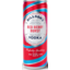 Photo of Billson's Red Berry Burst Vodka Can