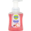 Photo of Dettol Foaming Antibacterial Hand Wash Rose And Cherry 250ml 250ml