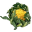 Photo of Cauliflower Gold