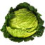 Photo of Cabbage Savoy Ea