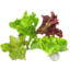 Photo of Lettuce Mix - Loose