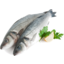 Photo of Rainbow Trout Whole 