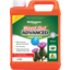 Photo of McGregor's Weed Out Weed Killer Advanced