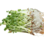 Photo of Sprouts Broccoli