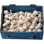 Photo of Mushrooms Button (Per Box)