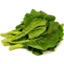 Photo of Chinese Broccoli