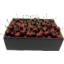 Photo of Cherries Premium 2kg Box