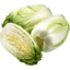 Photo of Wombok Cabbage Half