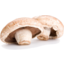 Photo of Flat Mushrooms