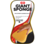 Photo of Sponge Giant