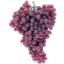 Photo of Grapes Crimson Seedless