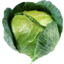 Photo of Cabbage Green Whole Organic