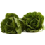 Photo of Lettuce Cos Twin Each