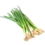 Photo of Spring Onions 1