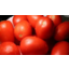 Photo of Tomato Roma Kg