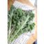 Photo of Organic Kale