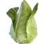 Photo of Cabbage Sugarloaf Ea