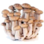 Photo of Shimeji Mushrooms 300g