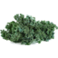 Photo of Kale Scottish
