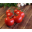 Photo of Tomatoes - Vine Ripened