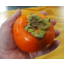 Photo of Persimmons Fuyu - Large
