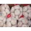 Photo of Garlic Chinese Prepack 500gm