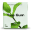 Photo of True Gum - Mint Gum 16 Pack