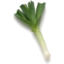 Photo of Leeks