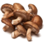 Photo of Mushrooms Shiitake