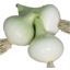 Photo of Onion - Salad Ea