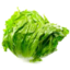 Photo of Lettuce Iceberg