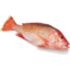 Photo of Snapper Whole 